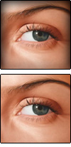 Les yeux de Lara